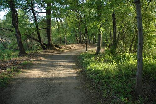 Repair and Stabilize Kenilworth Park Trail System