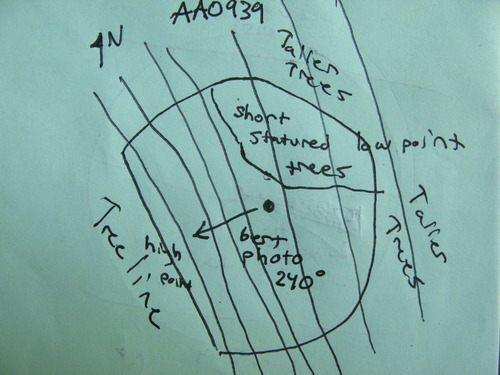 GRSM Accuracy Assessment. Plot Code: GRSM_AA_0939_7