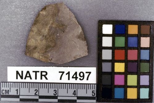 NATR   71497 -- Untyped projectile point