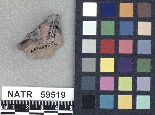 NATR   59519 -- Untyped projectile point
