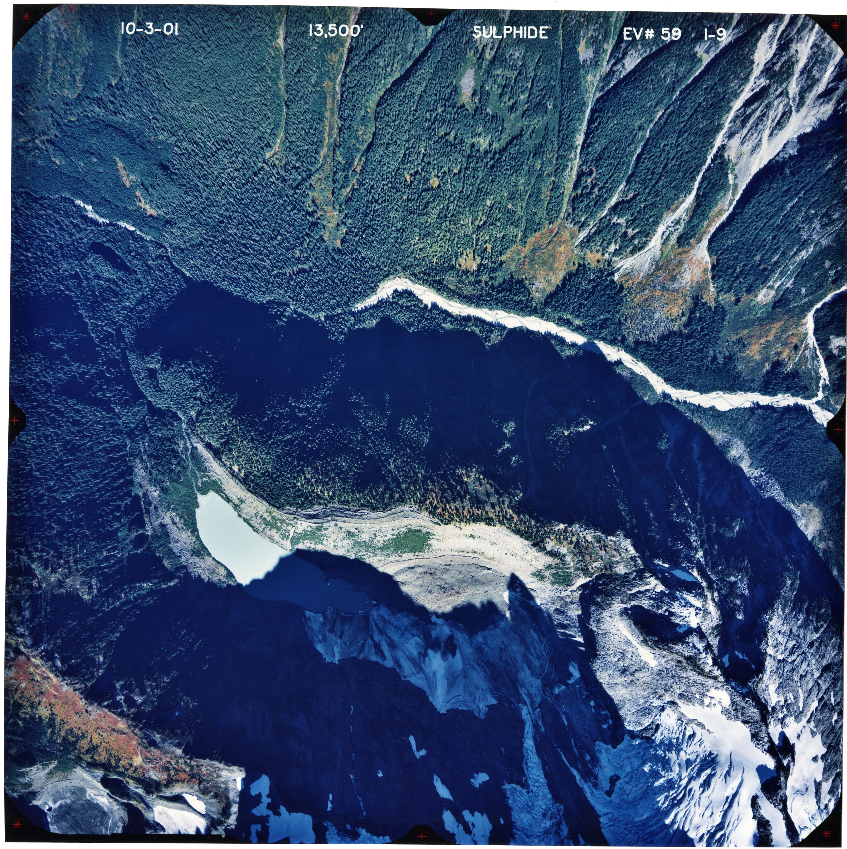 Color aerial photograph of glacier on mountain peak with forested valleys below.