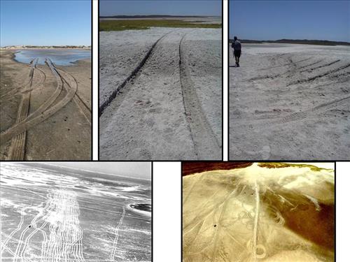 tidal flat disturbance PAIS