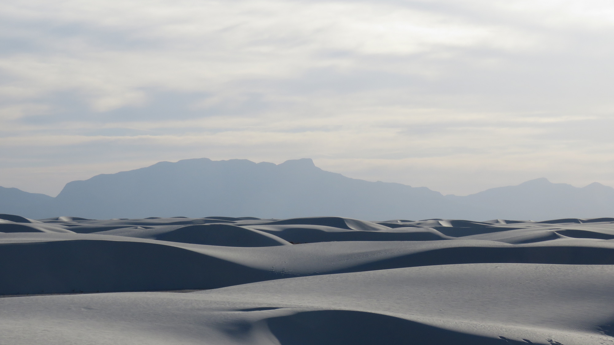 Rolling dunes in the late afternoon in front of the San Andres mountains. 