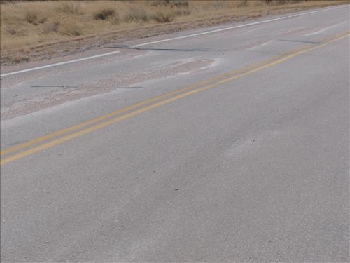 BADL-Loop Road Frost Heaves and Sunken Areas
