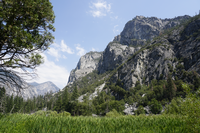 In the foreground lush green grass grows. Behind it are trees that ascend up a large granite mountain in the background. 