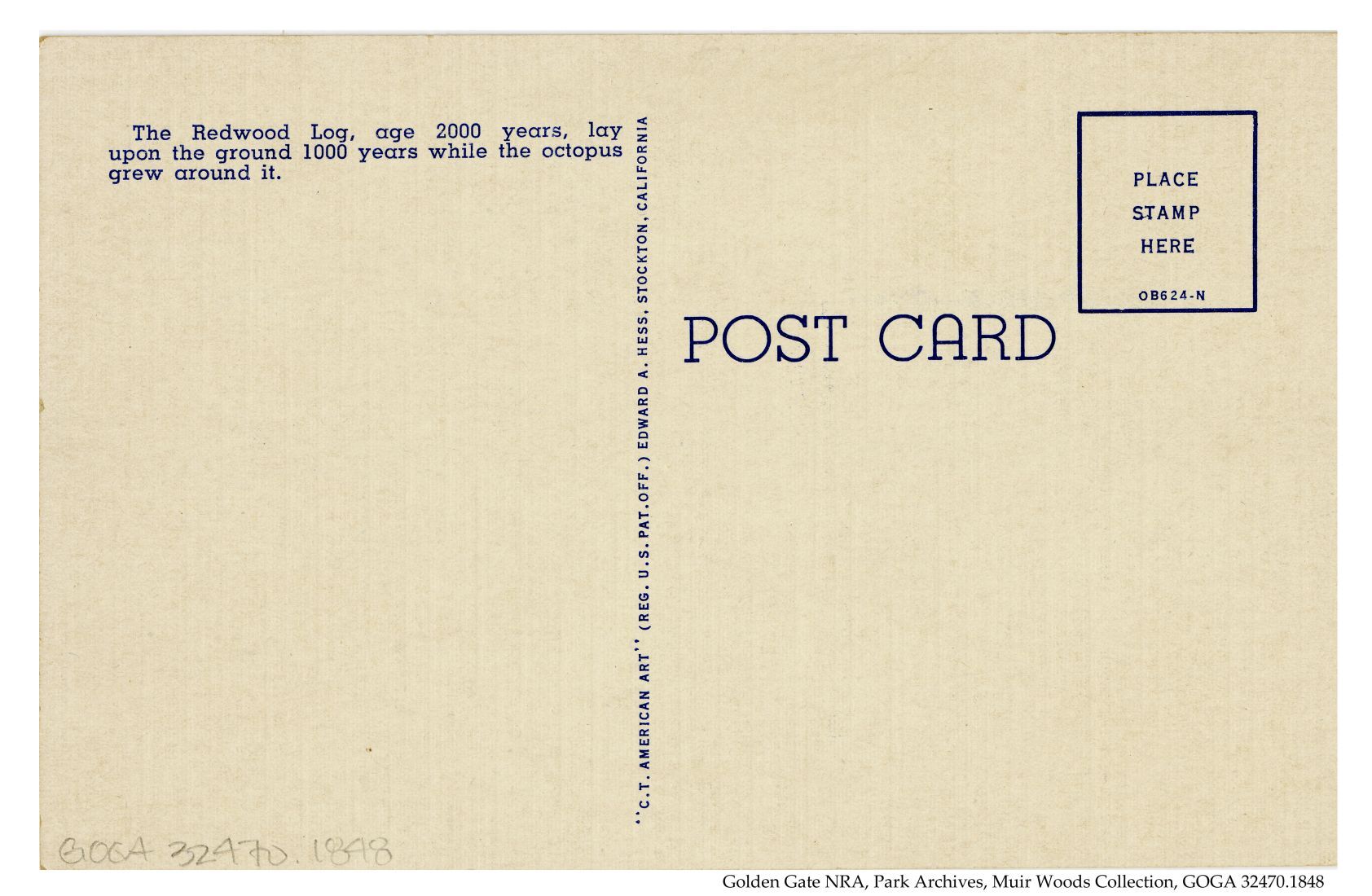 GOGA 32470 1848 muir woods postcard  back.jpg