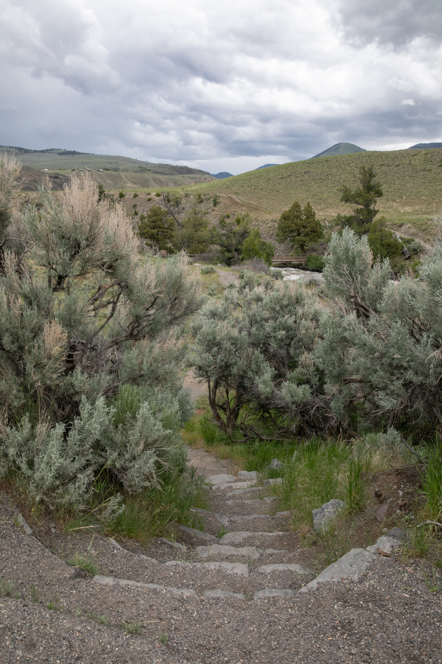 The beginning of the trail as it drops down using a series of steps to a sagebrush covered flat.