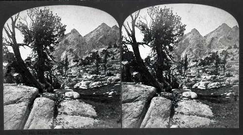 Stereoview. 540 Eagle Peak, Sierra, California. Photographic Views of American Scenery. Reilly & Ormbsy. Stockton, California. Note: This is not Eagle Peak in Yosemite Valley.