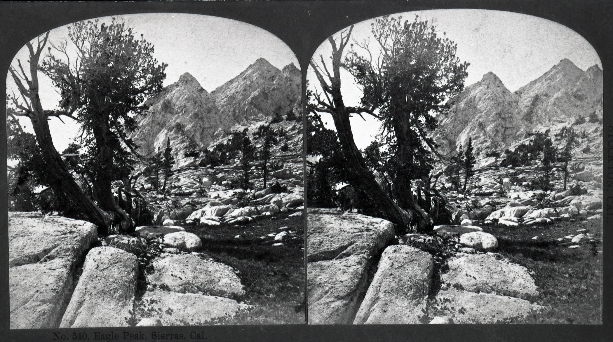 Stereoview. 540 Eagle Peak, Sierra, California. Photographic Views of American Scenery. Reilly & Ormbsy. Stockton, California. Note: This is not Eagle Peak in Yosemite Valley.