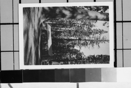 Mariposa Grove cabin. Photo donated to YNP by Audrey Harris.