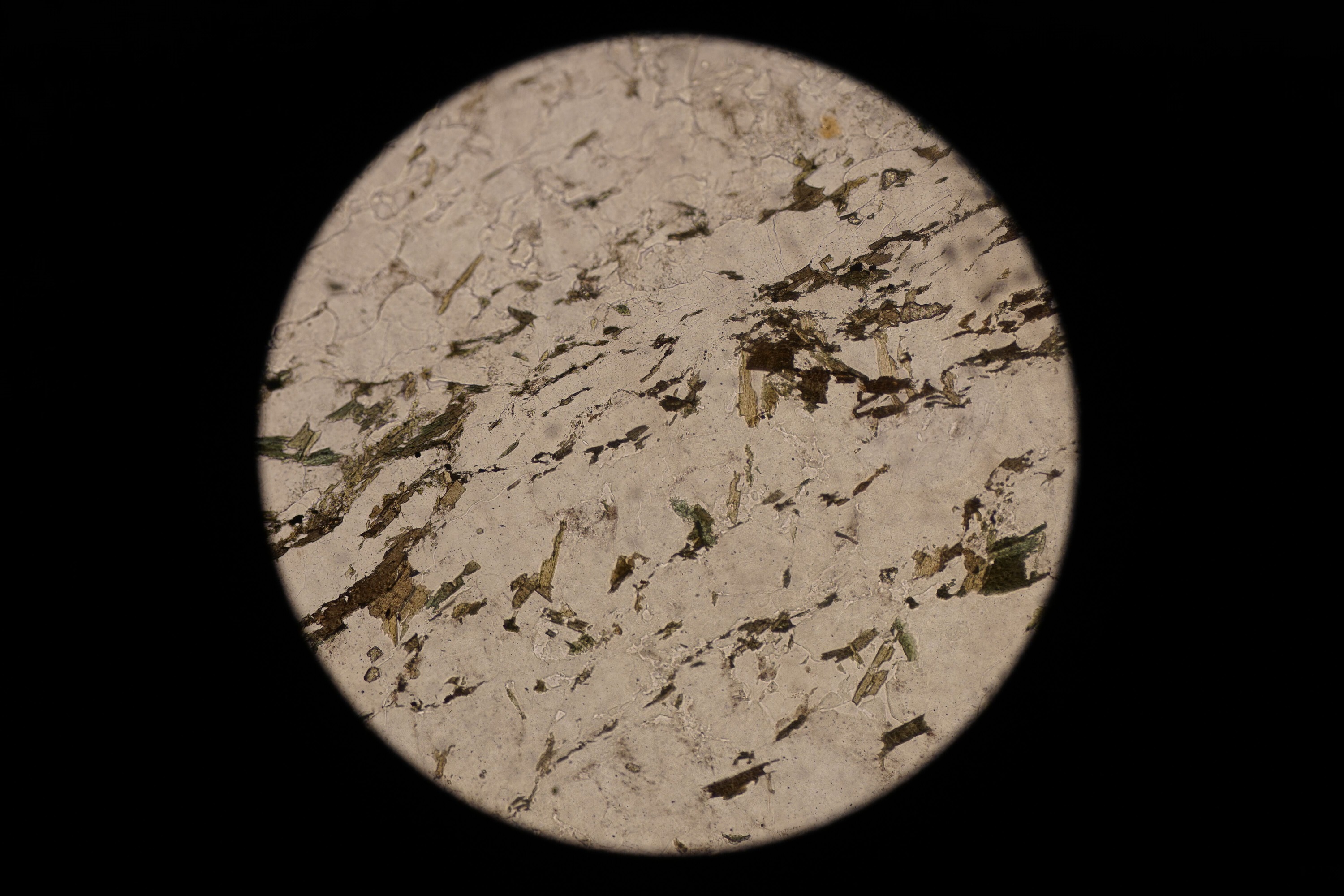 Circular microscopic image of rock structure.