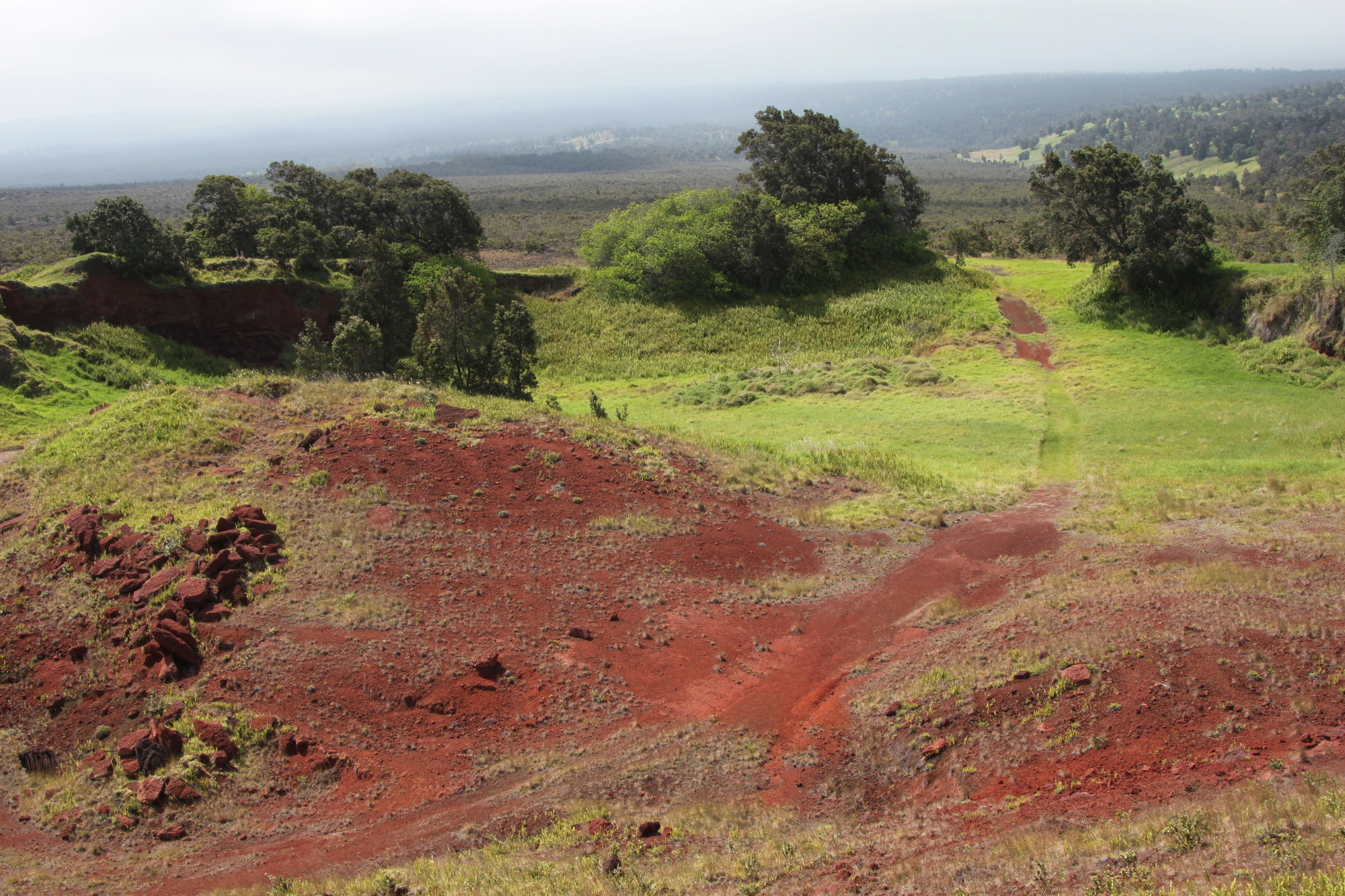 A grassy area with patches of red volcanic soil