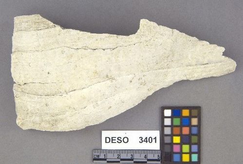 DESO    3401 -- Debitage
