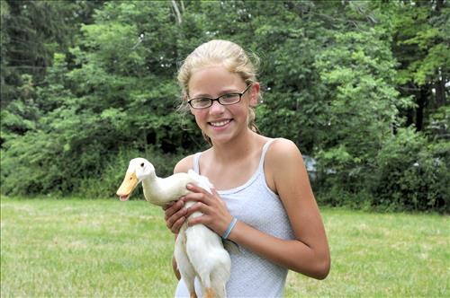 Herding ducks at The Spicy Lamb Farm in Cuyahoga Valley National Park