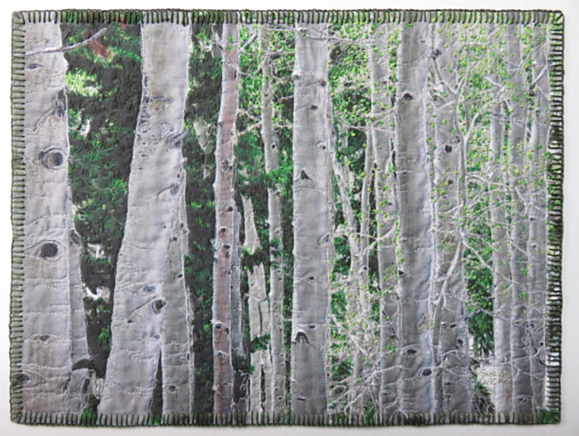 Many white-barked Aspen trees stretch from top to bottom of the quilt, showing neither their canopies or roots. Green leaves and pine needles from surrounding trees fill the spaces between the aspen. Visible stitching surrounds the rectangular quilt.