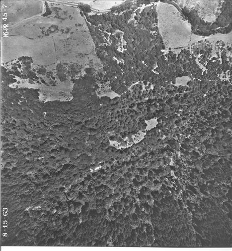 Point Reyes National Seashore Aerial Survey, 1963 Part 3 of 4