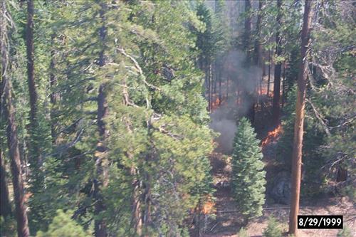 Eleanor Wildland Fire, August-September 1999, Yosemite National Park