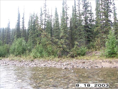 Copper Creek, Yukon-Charley Rivers, 2003