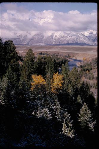 Views at Grand Teton National Park, Wyoming