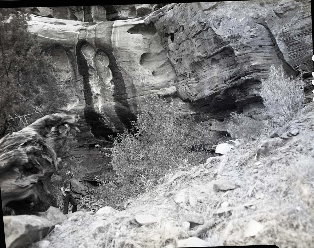 Cliff where visitor fell and was killed on October 10, 1965, just north at first drainage in cliff above Watchman Residential Area. Ranger in photo.