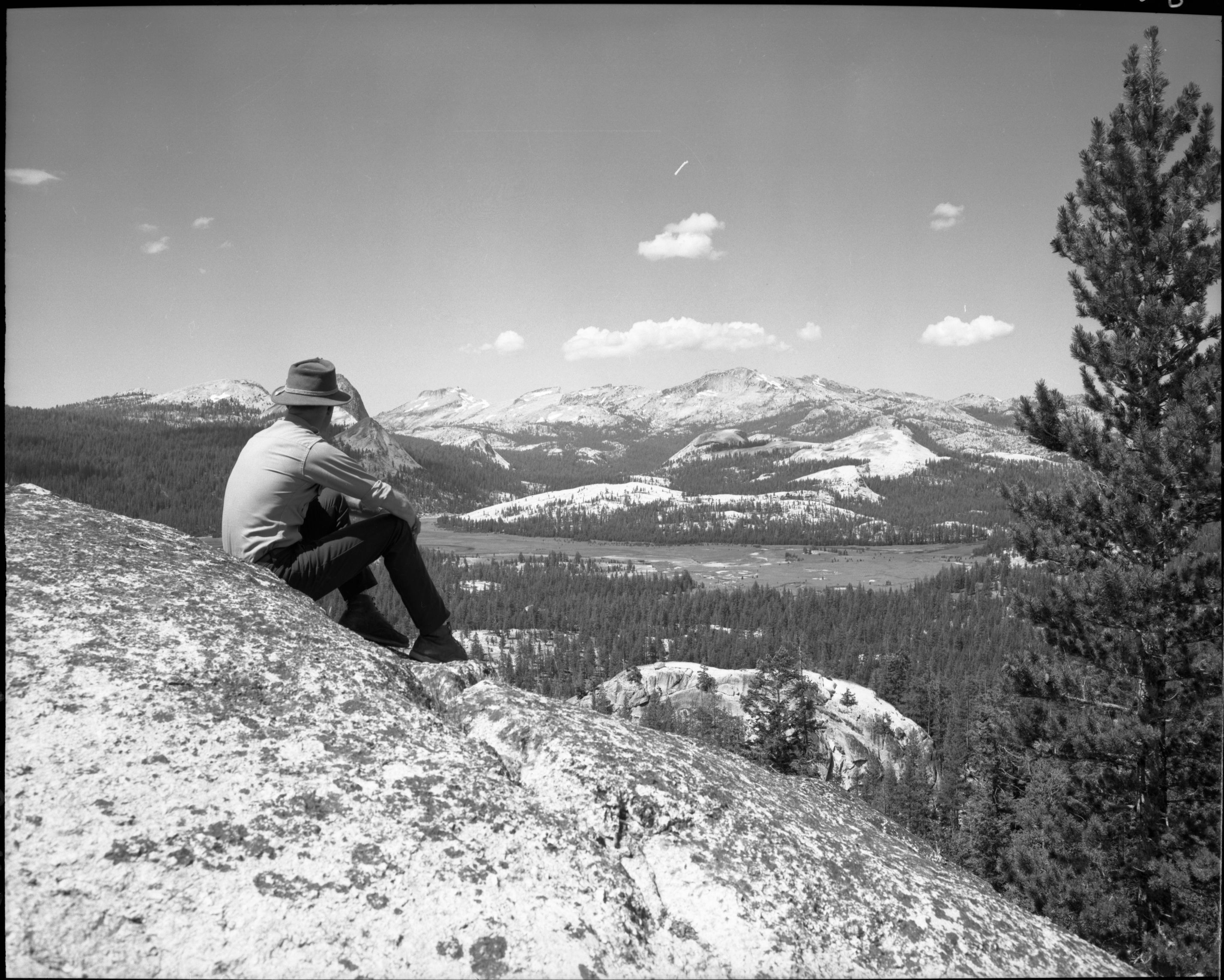 View toward Mt. Hoffmann - Tuolumne Peak - from Juniper Ridge.