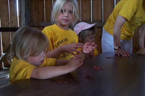 CVEEC Junior Ranger Program, Little Sprouts, Tasting Vegetables