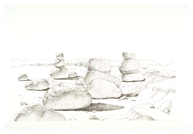 Nodules along the Door Nature Trail.