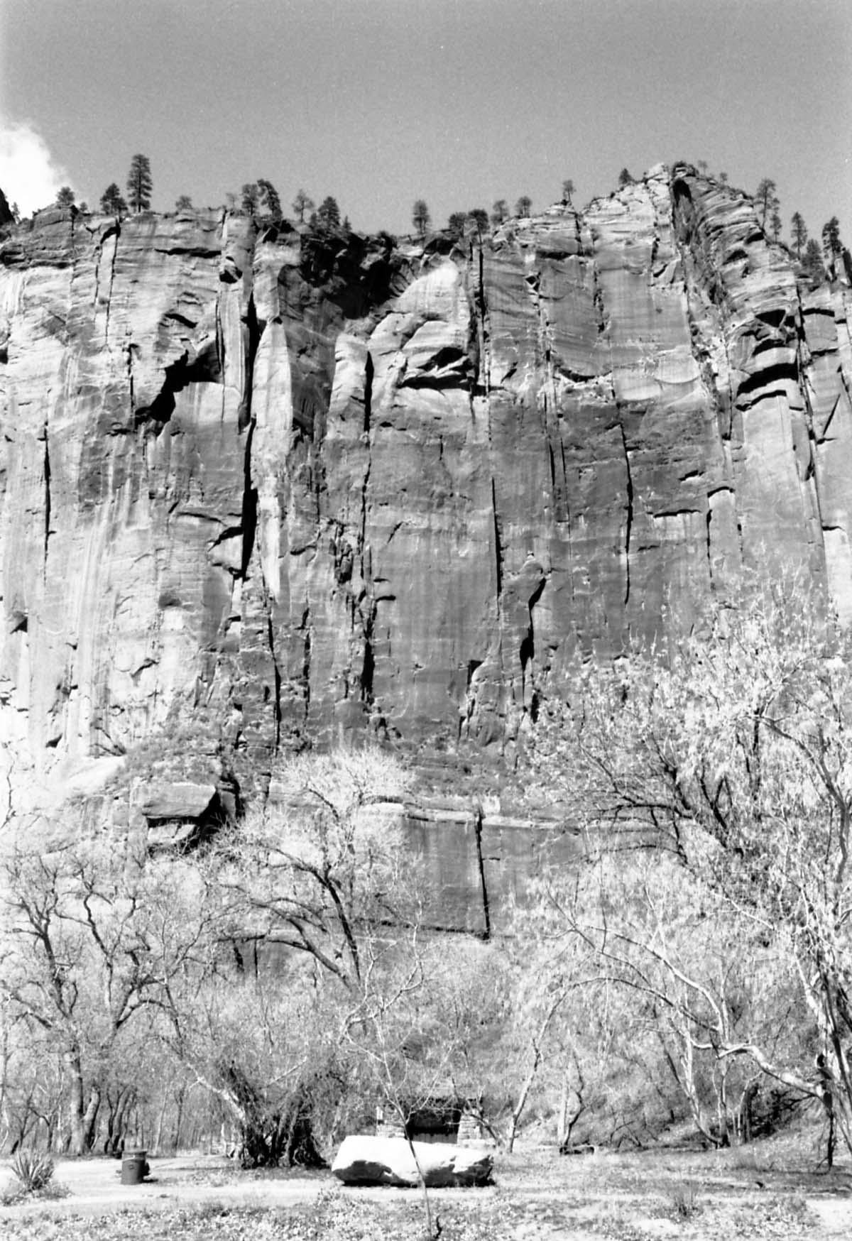 BW Photos of the Temple of Sinawava - 35mm.