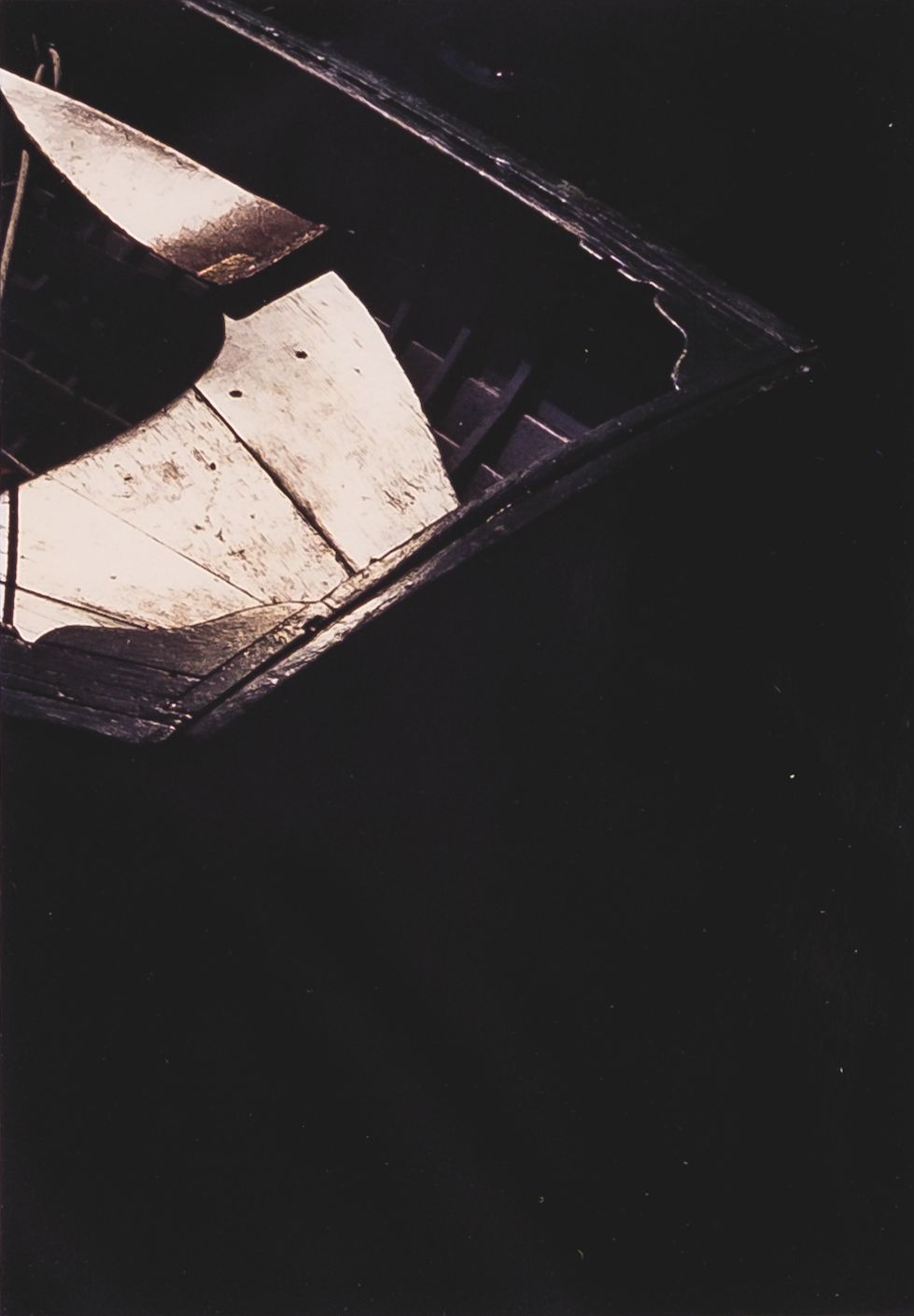 An artist's photograph