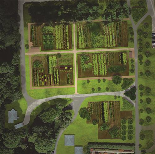 Roosevelt Home Garden Planning