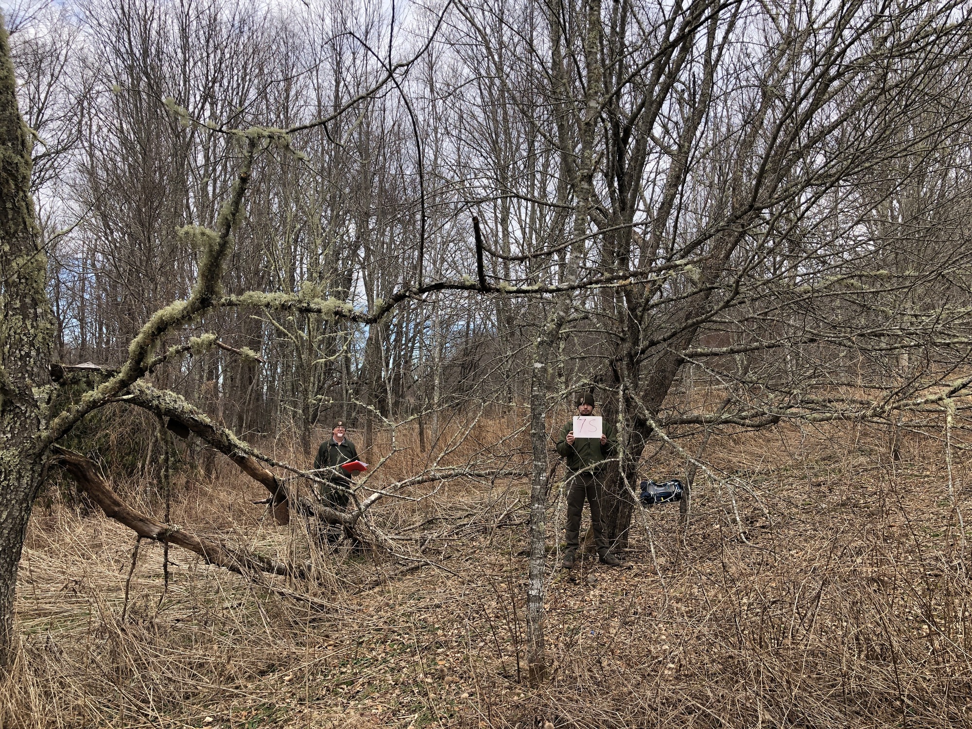 An employee holds a sign and stands by the trunk of a leafless apple tree, surrounded by vegetation. 