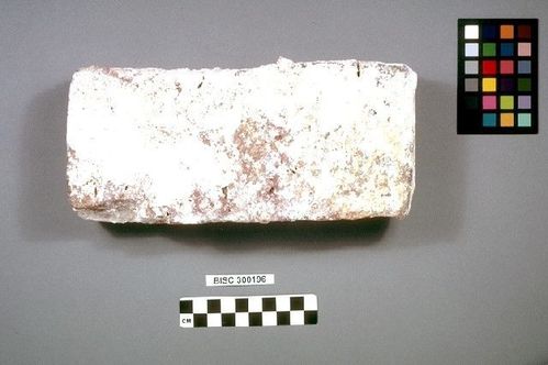 BISC  300196 -- Brick