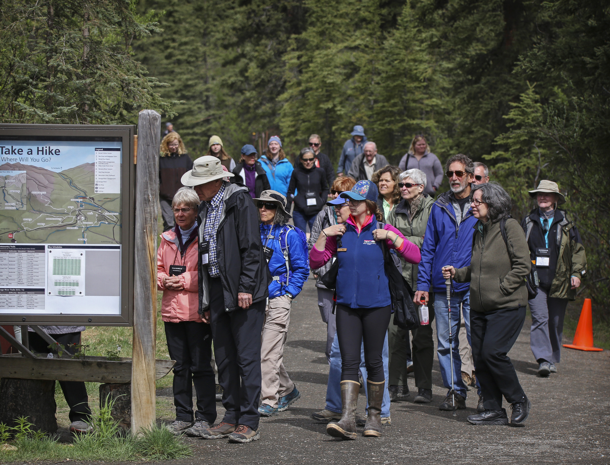 a group of around twenty people walking down a path in a forest 