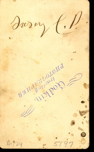 Tasey in a Richly Decorated Dress