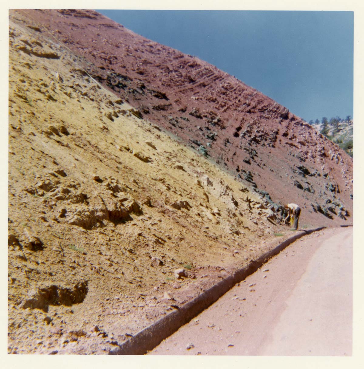 Color photo of the completion of the Kolob Canyon Road hydroseeding experiment.