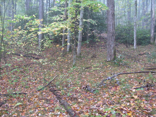 GRSM Accuracy Assessment. Plot Code: GRSM_AA_0341_6