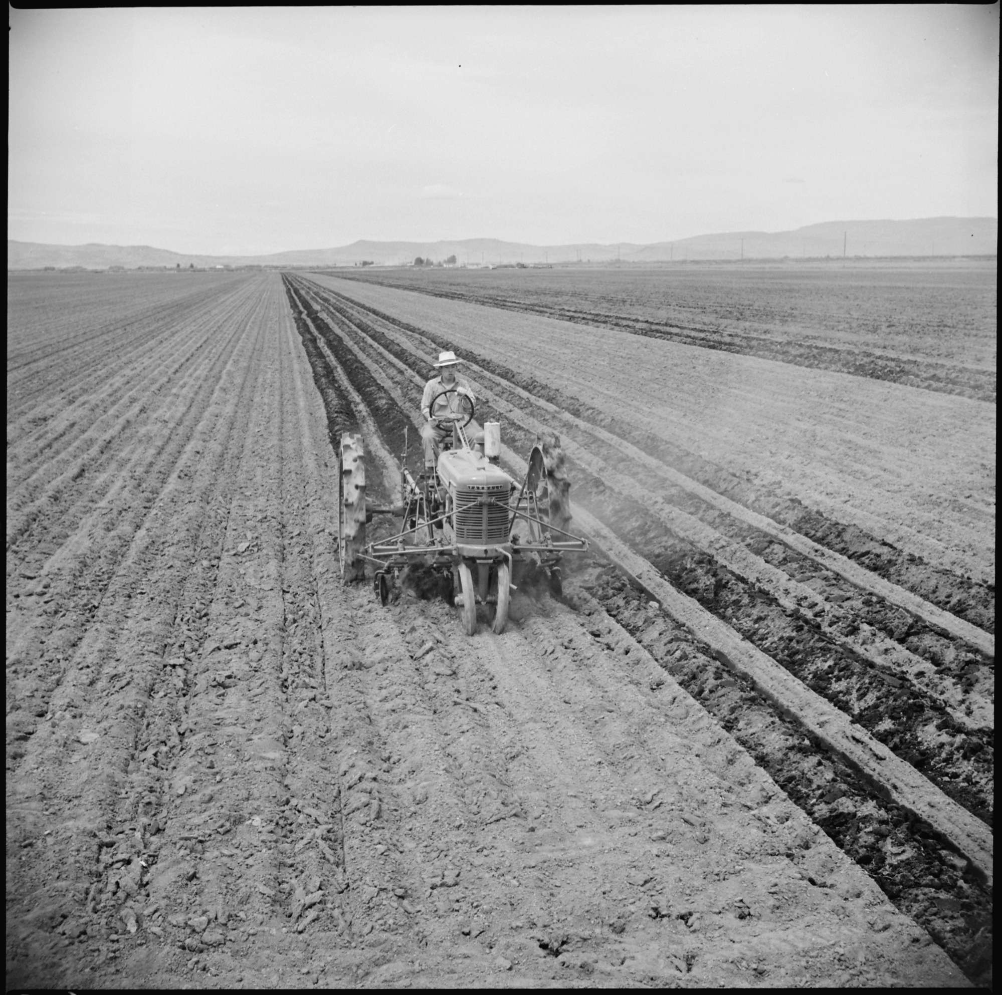 A tractor disk is used to cover potatoes which had not planted to sufficient depth. This practice is not generally necessary as adjustments were later made on the planting machines