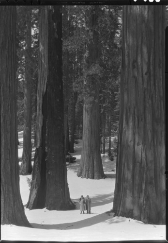 Mr. & Mrs. Theodore Wirth (son of Conrad Wirth-Director NPS in the 1950's).