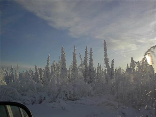 1 Gates of the Arctic National Park and Preserve Hares Survey 2004