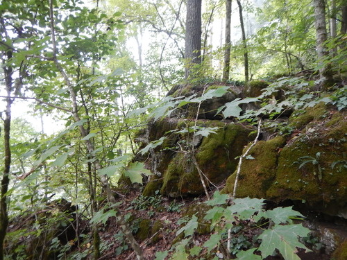 GRSM Accuracy Assessment. Plot Code: GRSM_AA_0579_4