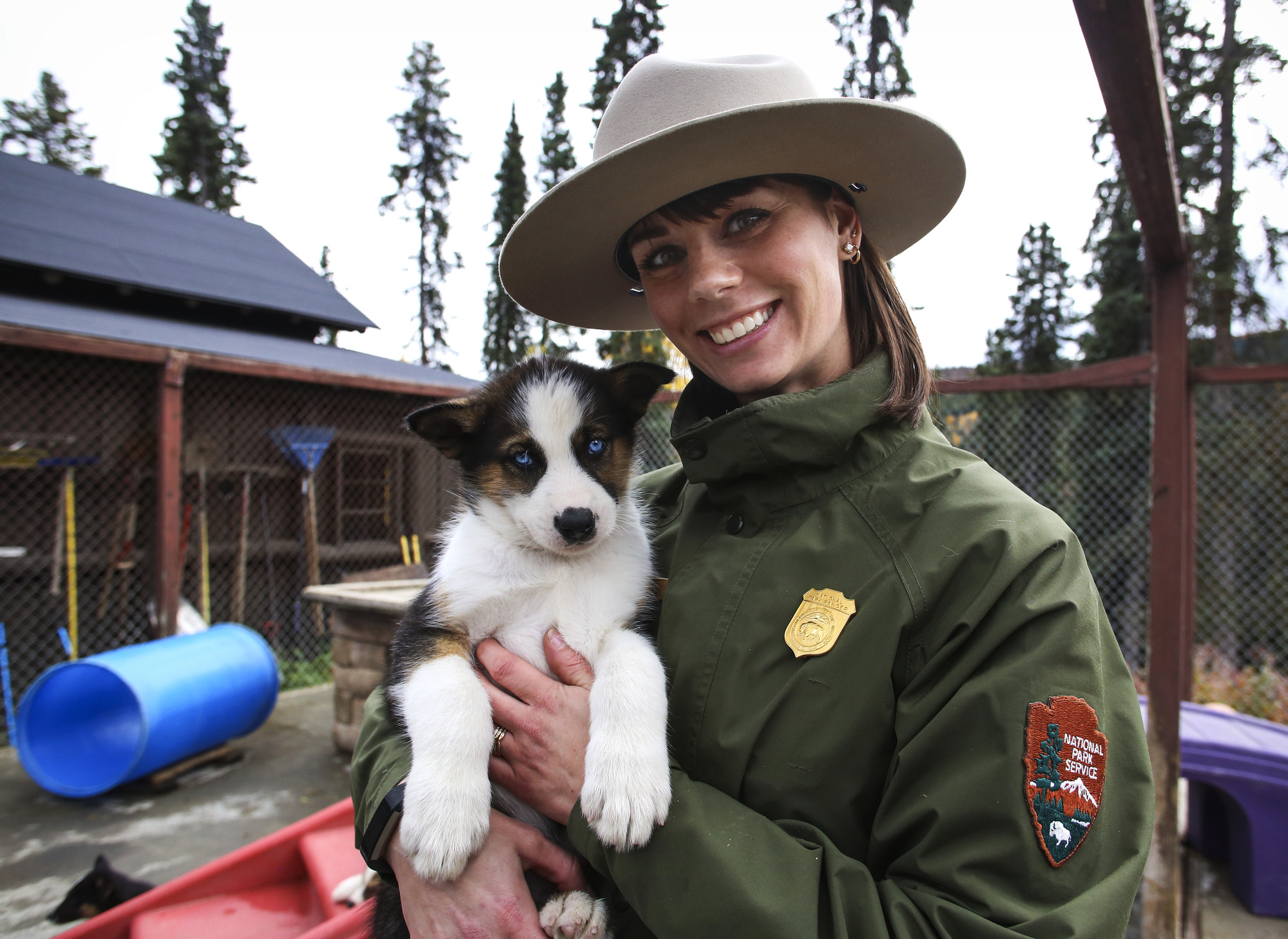 a ranger holding a sled dog puppy