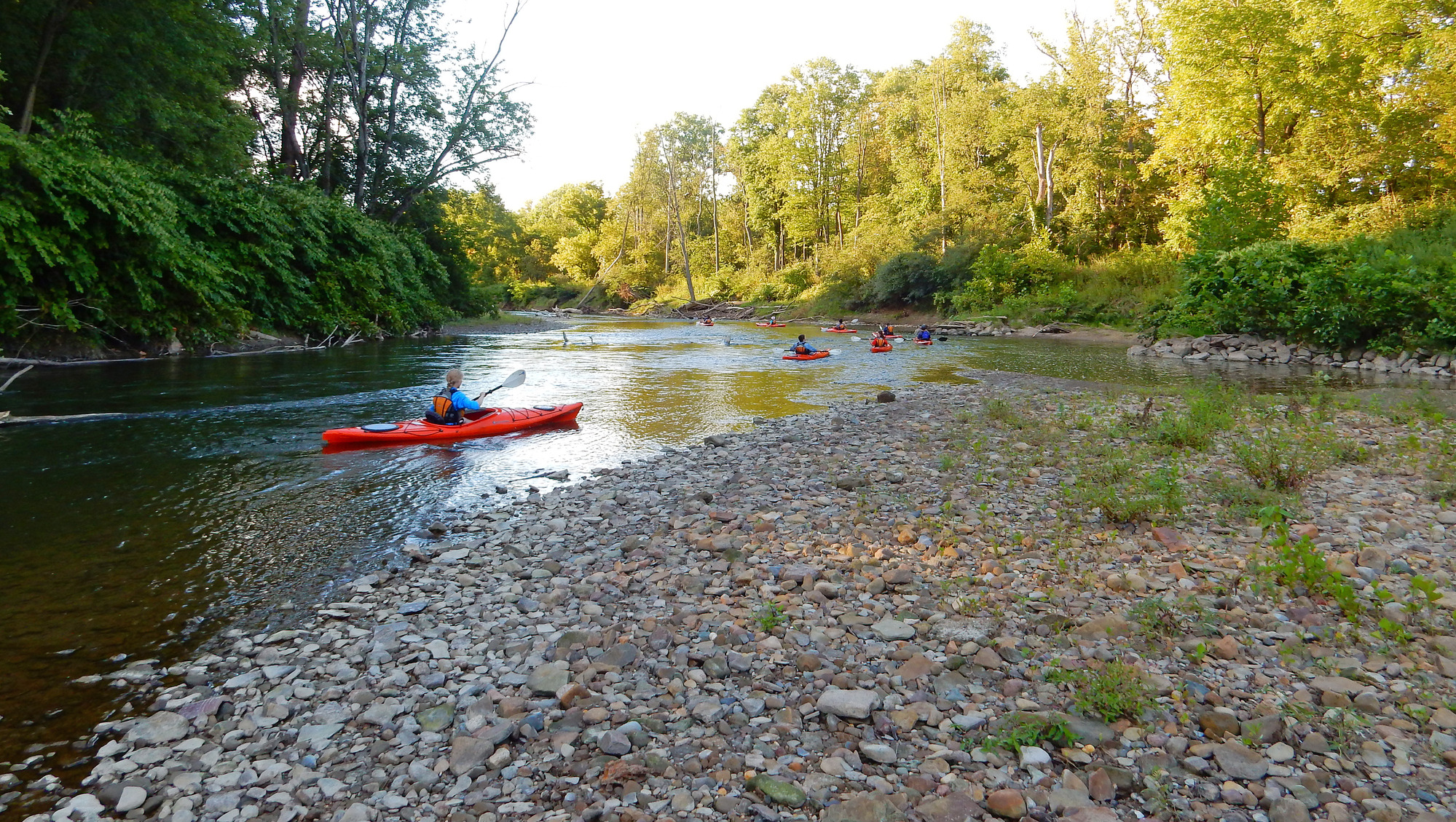 People paddle a group of orange kayaks around a pebbly bend in a river; the rest of the shore is lined in green shrubs and trees.