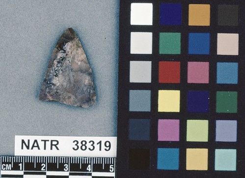 NATR   38319 -- Untyped projectile point