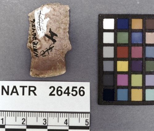 NATR   26456 -- Untyped projectile point