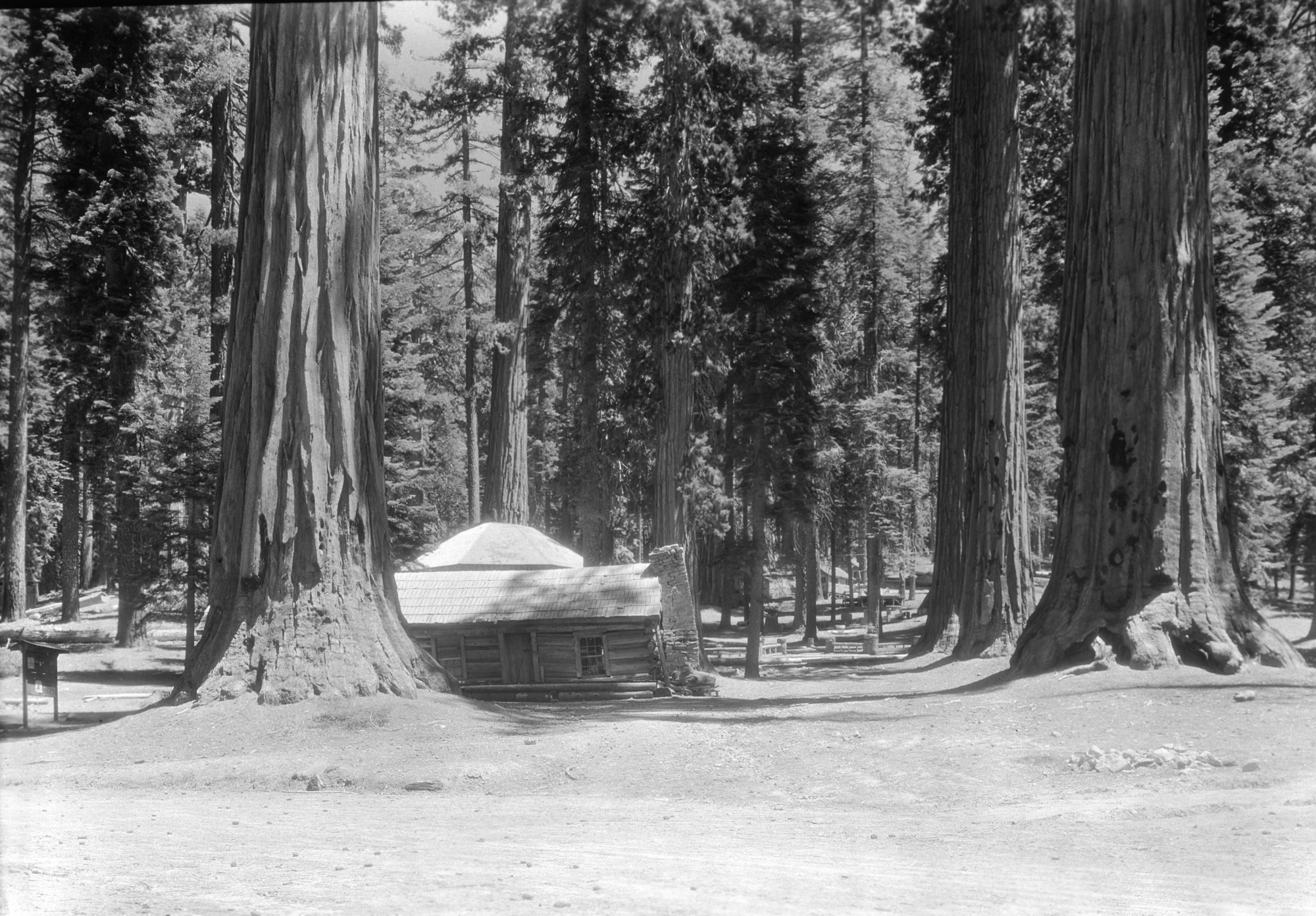 Cabin in Mariposa Grove. Copy Neg: Mike Floyd, 1992