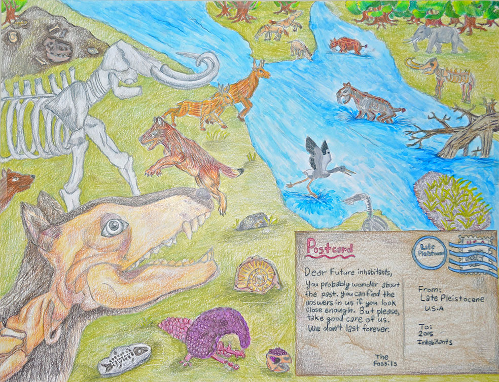 Color drawings of dinosaurs, birds, and prehistoric mammals alongside a river near a forest. The drawings are behind a small postcard. 
