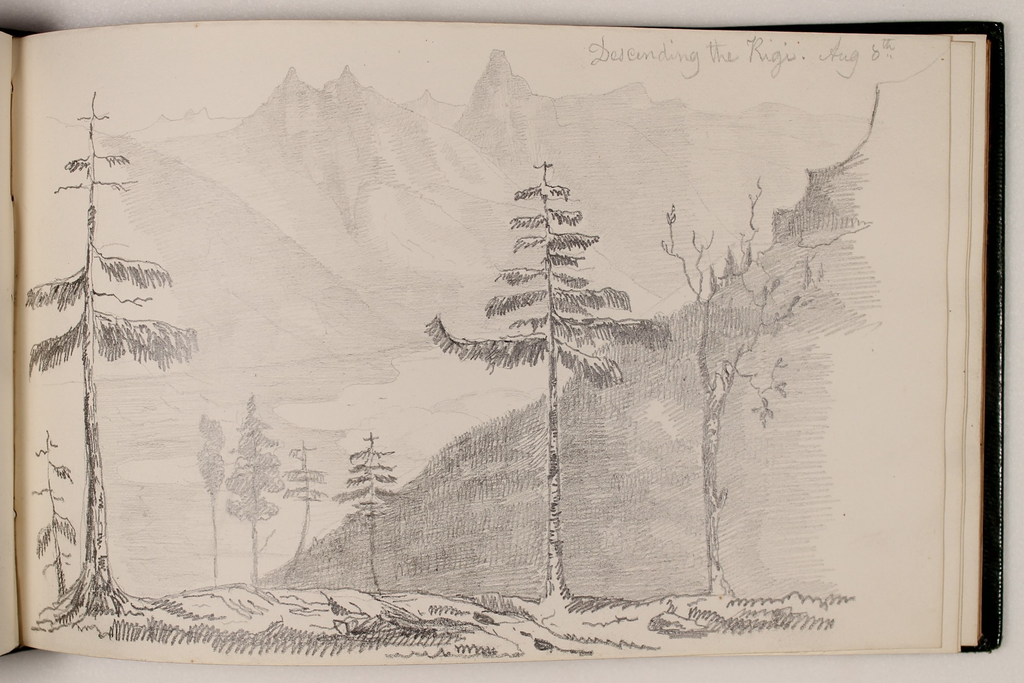 Pencil drawing in sketchbook of evergreen trees in foreground and tall mountain peaks in background.