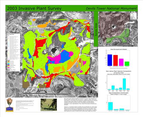 2006-2010 Meadow Restoration
