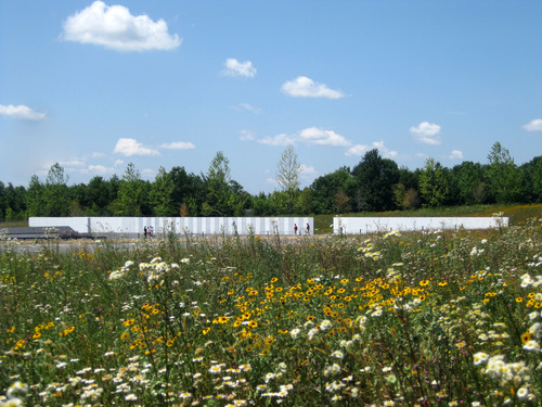 Wildflower meadow in front of the Wall of names