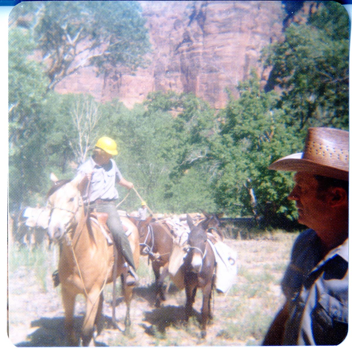 Horse pack-train heading for the East Rim for trail maintenance work.